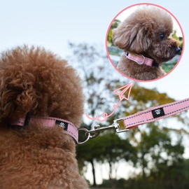 NESTROAD Reflective Dog Collar and Leash Set,Soft Neoprene Pet Collar with Quick Release Buckle,Adjustable Nylon Dog Collars for Small Medium Large Dogs(Large Collar + 5FT Leash,Pink)