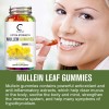 3x Mullein Leaf Gummies 2000mg For Lung Cleanse Detox Herbal