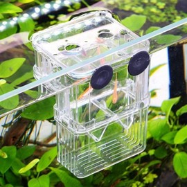 Large Guppy Fry Tropical Fish Isolation Breeding Box for Aquarium Fish Breeding Box - Large 2ea