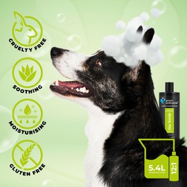 GROOM PROFESSIONAL Aloe Wonder Hundeshampoo Sensitiv - Für Juckende und Trockene Haut - Hundeshampoo Gegen Juckreiz - Sensitiv & Juckreiz Shampoo für Hunde - Beruhigende & Pflegende Formel, 450ml