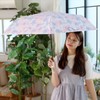 Nifty Colors 2436SX Folding Umbrella, Blackout Sheep Cloud Automatic Mini