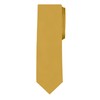 Jacob Alexander Solid Color Men's Regular Tie - Gold
