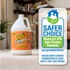 Krud Kutter CR012 Instant Carpet Cleaner/Stain Remover Plus Deodorizer, Gallon