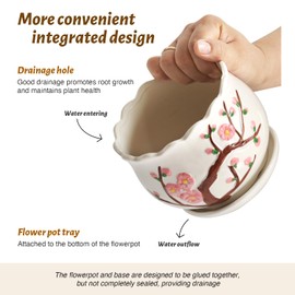 STHIE Ceramic Plant Pots with Drainage Holes and Saucers, Round Flower Pots for Indoor Plant, 3.9/5.2/6.7 Inches Small Flower Planters Set of 3