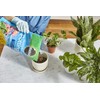 Miracle-Gro Moisture Control Potting Mix and Water Soluble All Purpose
