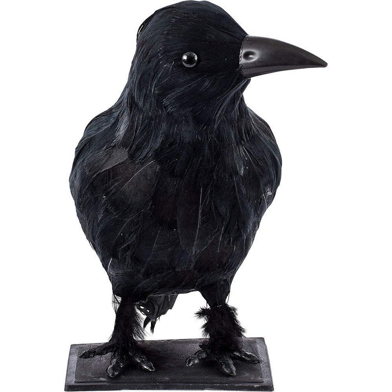 Sunstar Industries Crow - Closed Wings in