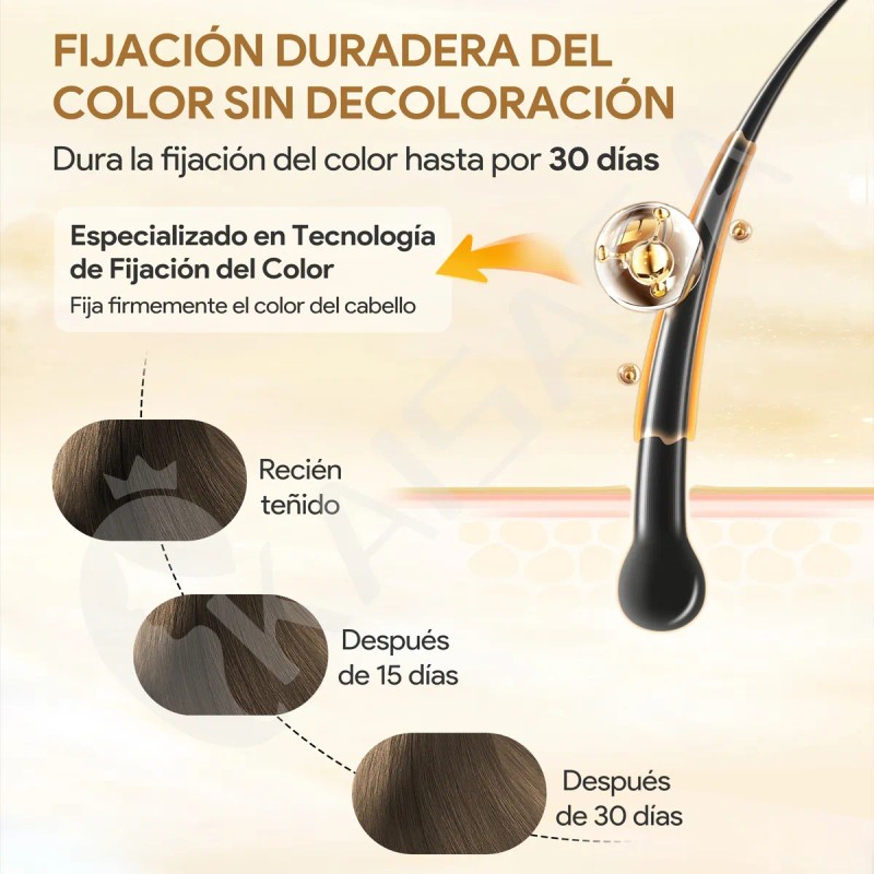 Kaisasa Shampoo Con Tinte Cubre Canas Matizador 2 Pzs