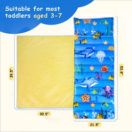 Lydaz Toddler Nap Mat with Removable Pillow, Kids Sleeping Bag with Rollup Design, Slumber Bag for Boys Girls, Sleeping Mats for Preschool, Daycare, Travel, Camping, Gifts for Ages 3-7 Years