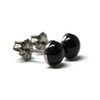Salish Sea Inspirations Black Onyx Titanium Hypoallergenic Stud Earrings (Medium