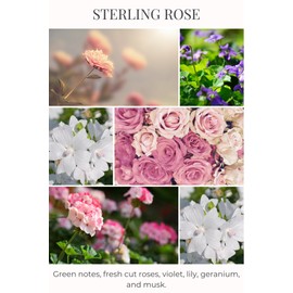 Eco Candle Co. Mason Jar Candle, Sterling Rose, 8 oz. - Scents of Green Notes, Fresh Cut Roses, Floral, & Musk - 100% Soy Wax, No Lead, Kraft Label & Antiqued Pewter Lid, Hand Made, Midwest Soybeans