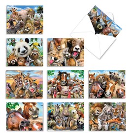 The Best Card Company - 10 Blank Animal Cards Boxed (4 x 5.12 Inch) - Assorted Pets, Zoo, Wildlife Cards for Kids - Here's Looking at Zoo M6639OCB
