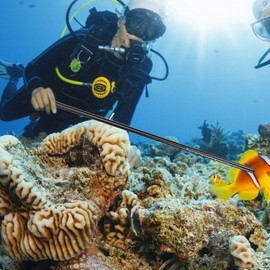 XHIKOWAT Aluminum Alloy Tickle Pointer Stick Resistant Diving Rod Dive Sport (Black),Diving