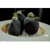 Lactosa USP (Lactosus) 500g Cocina Molecular