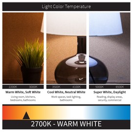 Sunlite 80421 LED Filament Flame Tip Chandelier 4 (40 Watt Equivalent) Clear, Dimmable, Light Bulb, E26 Medium Base, 1 Pack, Warm White