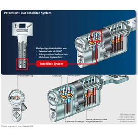 2000 Fetch Bravus. Security - Double Cylinder with 3 Keys, Length 30/30 mm with Security Card and High Copy Protection, Optional Equipment: Hardship - U, Hazard Function