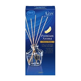 STE Deodorizing Premium Stick Body Classic Theory 1.7 fl oz (50 ml)