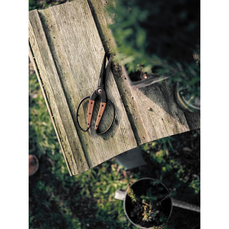 Barebones Garden Scissors - Walnut Scissors - Garden Supplies and