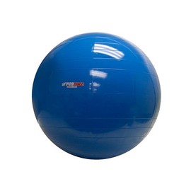 PhysioGymnic Molded Vinyl Inflatable Ball, Blue, 34 Inch
