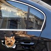 Car Sticker Yorkshire Terrier Sticker 18 cm (7.1 Inch) Yorkshire