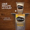 Just For Men Control GX Shampoo Desvanecedor Canas Hombre 3