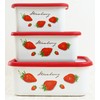 Fuji Hollow Strawberry Deep Square Container, M 0.4 gal (1.1
