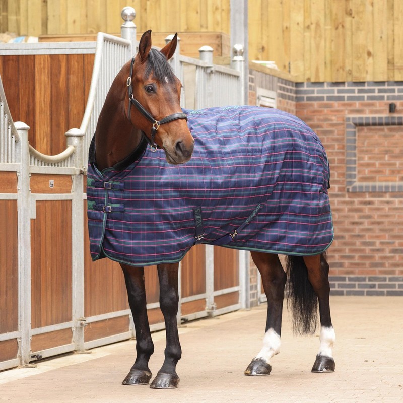 Shires Tempest Plus 100 Stable Rug - Navy Tartan 6ft6