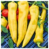Everwilde Farms - 1/4 Lb Hungarian Wax Hot Hot Pepper