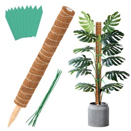 Augshy Total Length 20 Inches Coir Totem Pole - 2 Pcs 12 Inches Moss Pole, Coir Moss Stick for Monstera Climbing Indoor Creepers Plant Support Extension.