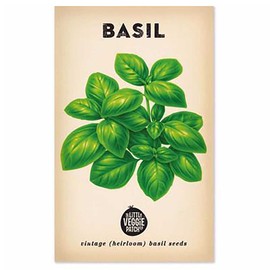 The Little Veggie Patch Co Basil 'Lge Sweet Genova' Heirloom Seeds, 1 pack