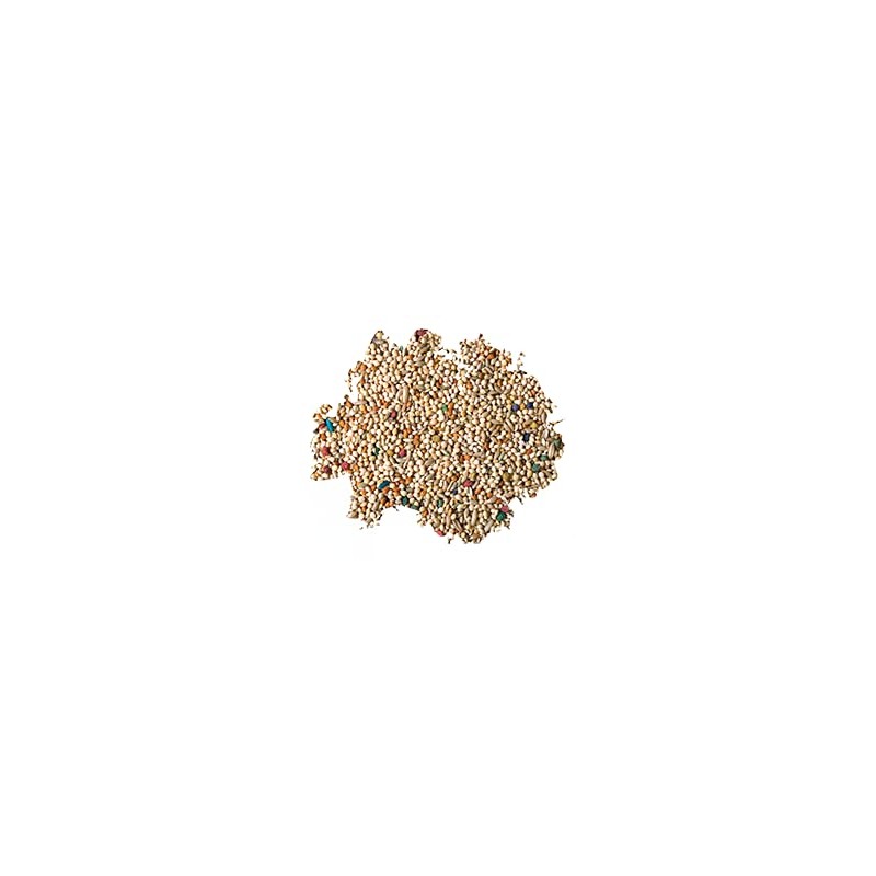 Better Bird, Premium Parakeet Food, 5 lb Jar