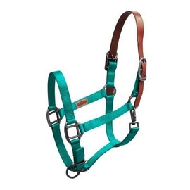 Showman Premium Nylon Breakaway Halter w/Leather Crown