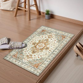 HAOCOO Entrance Mat, Indoor, Summer, Persian Style, 19.7 x 31.5 inches (50 x 80 cm), Small, Antibacterial, Odor-Resistant, Thin, Rug, Stylish, Washable, Abrasion Resistant, Anti-Slip, Soundproofing