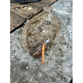 GET THUMPED Lead, 2.8" 1/2 oz Jighead (2 per Pack) - for Soft Shrimp Bodies, Saltwater Bait