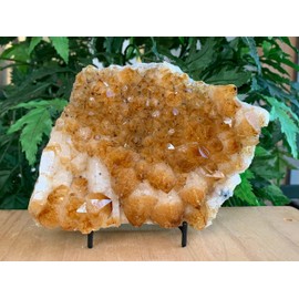 GAF TREASURES Citrine Custers, Brazilian Citrine Crystal, Honey Citrine Quartz Cluster, Money Stone, Success Stone (7-8 lb)