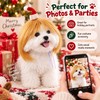 Pet Wig for Cats & Dogs – DIY-Trimmable Curly or