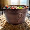 BREKX Metal Indestructible Dog Toy Bin - Storage Bin with