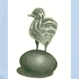 CafePress Emu Chick with an Attitude Infant Bodysuit Cute Infant Bodysuit Baby Romper Sky Blue