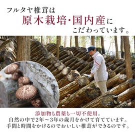 Additive-free, Handmade Japanese Tsukudani Shiitake Mushrooms, Sliced Shiitake Mushrooms, Spicy Boiled Shiitake Mushrooms, 2.8 oz (80 g) x 2 Bags