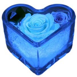 ArtFour Season Heart "Glowing Rose" Firefly with Four Leaf Clover Preserved Flowers