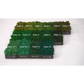 prefleur prefleur Preserved Reindeer Craft Moss Natural Green DIY Kit Gardenning Art Wall Decor Florist Easter Table Decor Wedding Decor (0.85lb)(Green-10)