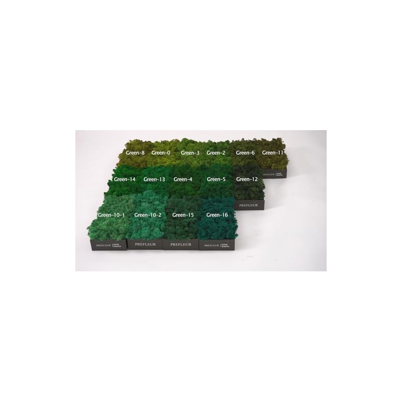 prefleur prefleur Preserved Reindeer Craft Moss Natural Green DIY Kit