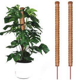 Bendable Moss Pole for Plants Monstera, Coco Coir Totem Pole Plant Support for Climbing Plants, Plant Sticks for Monstera Creepers (Set 3: 100cm x 2)