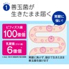 プロバイオティクス乳酸菌 31粒