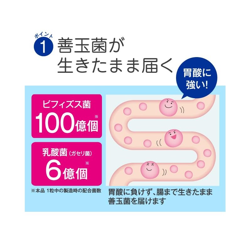 プロバイオティクス乳酸菌 31粒