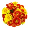 SNAIL GARDEN 30 Heads Artificial Gerbera Daisies with Dewdrop, 2