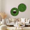 Eurofoto Iceland Moss Preserved – Moss for Crafts and Decoration
