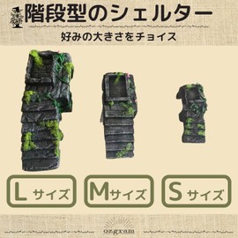 ozgram Shelter, Staircase, S Size (W x D x H): 5.1 x 2.4 x 1.8 inches (130 x 60 x 45 mm), Floating Island, Reptile, Amphibian, Turtle, Leopa, Sunbathing, Hideaway, Aquarium, Land, Scaffolding,