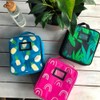 Fridge-To-Go Fridge to Go Insulated Lunch Box Medium - Pineapple
