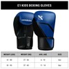 Hayabusa E1 Boxing Gloves for Kids, Youth and Teens -
