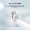 Interplak Opticlean Power Plaque Remover Rechargeable Toothbrush 2 Brush Heads